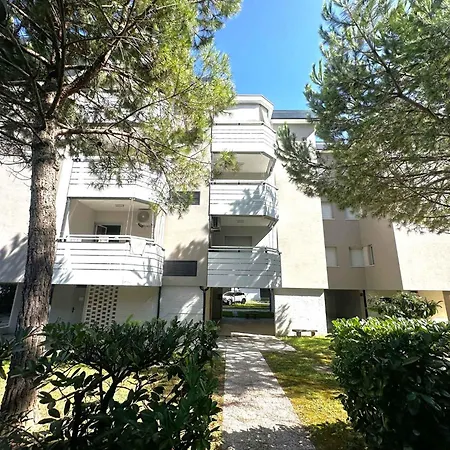 In 54741 ביביונה